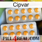 Cipvar levitra2